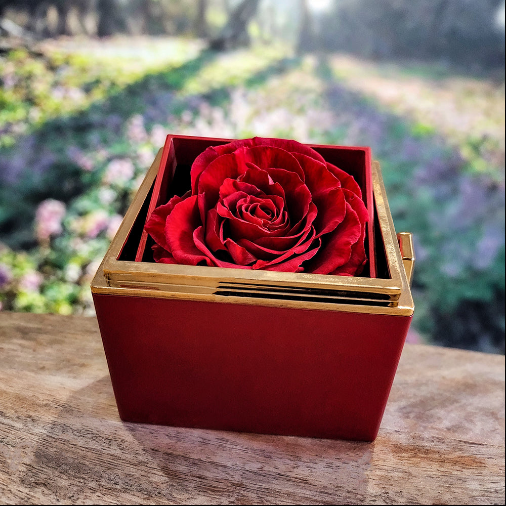 Breathing Interlocking - Daughter Birthday Necklace with Rose Box ...