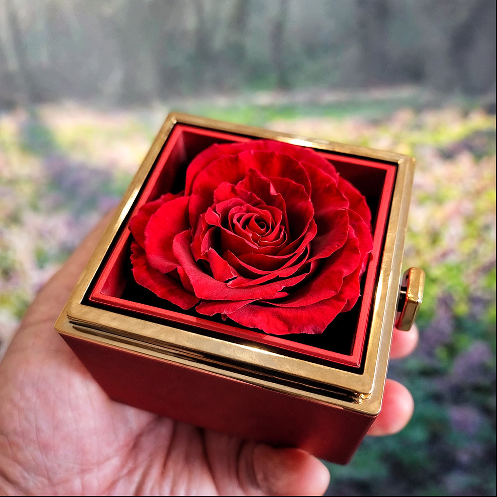 Breathing Interlocking - Daughter Birthday Necklace with Rose Box ...